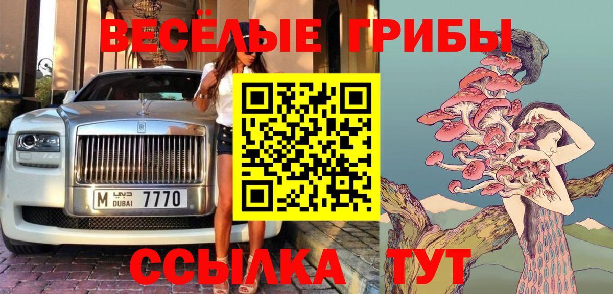 Железногорск  Псилоцибиновые грибы MAGIC MUSHROOMS  купить наркоту  Галлюциногенные грибы GOLDEN TEACHER  Вход с VPN 